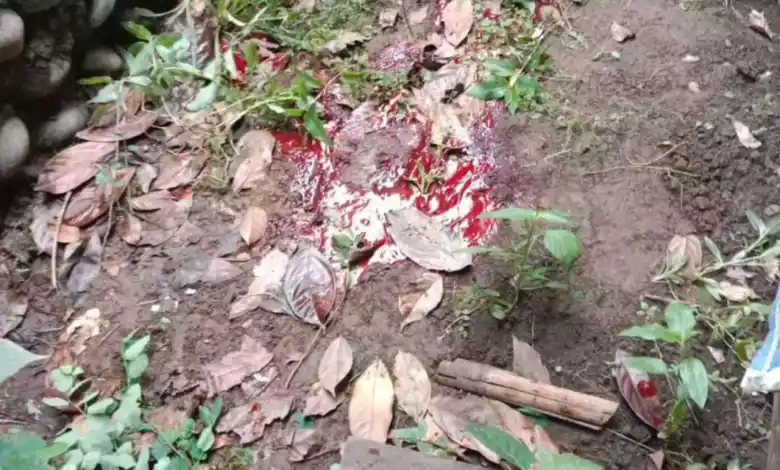 Slkb yan hpe gap sat da ai shara