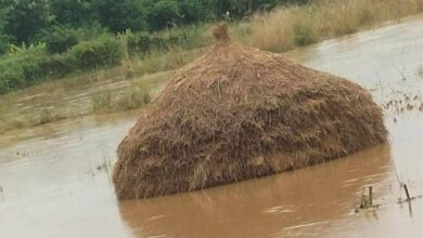 Hka kaba na Mambum hkalim hkrum taw ai sumla (Namhpakka)