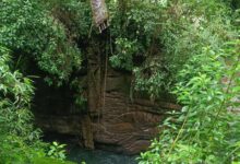 Pyithutsit ni kapaw jahten kau ai hkrai noi