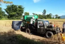 Hkauna mam sharun nga yang