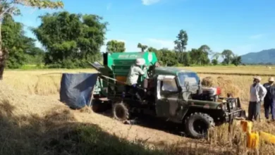 Hkauna mam sharun nga yang