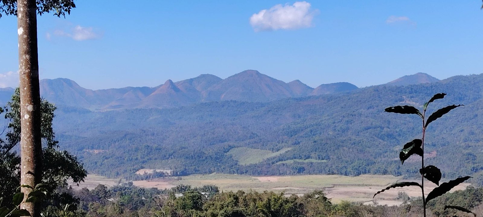 Mungbaw Wing Seng Mare kaw na Mu Lu ai Bum Masum