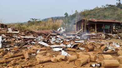 Nbungli Bawm Wa hkrat ai Tamahkan Mare