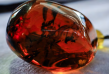 Photo Credit by - KDNG သွေးစွန်းသောပရင်း 2018 sumtang laika buk na Screenshot la da ai re.