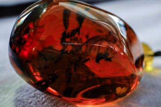 Photo Credit by - KDNG သွေးစွန်းသောပရင်း 2018 sumtang laika buk na Screenshot la da ai re.