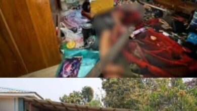 Jun Damya mya hkrum ai n ta Hopin