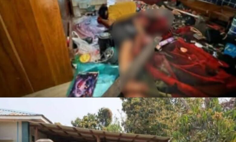 Jun Damya mya hkrum ai n ta Hopin