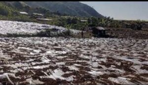 Manghkang Byin taw ai Mung Shawa Lamu Ga