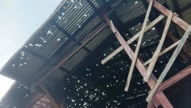 March 14 ya shana hkrat ai Marang si