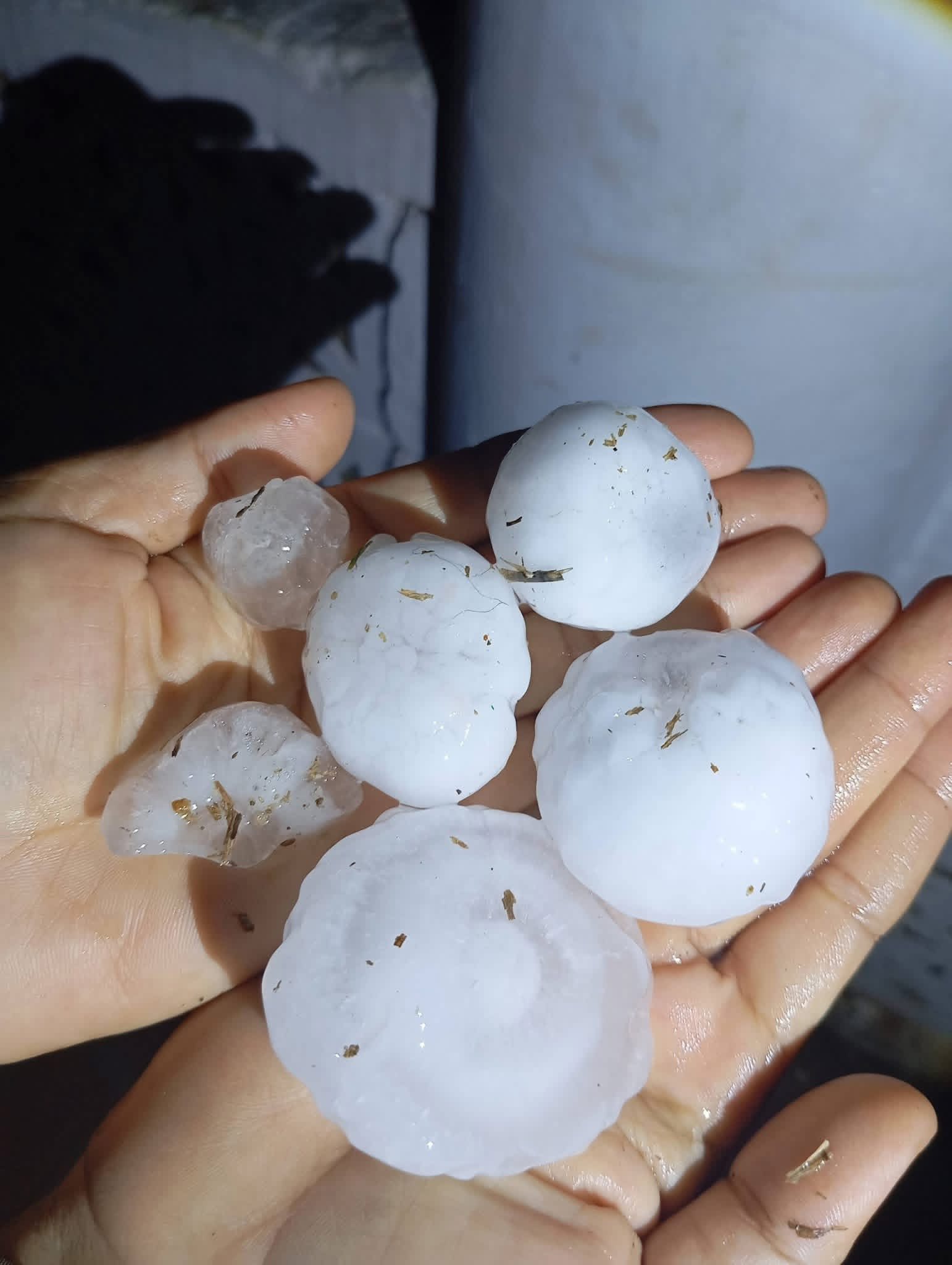 March 14 ya shana hkrat ai Marang si