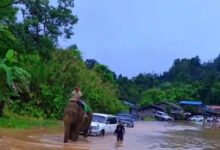 Namtinag mare ka-ang lam kaw Magwi hte Mawdaw dun nga yang