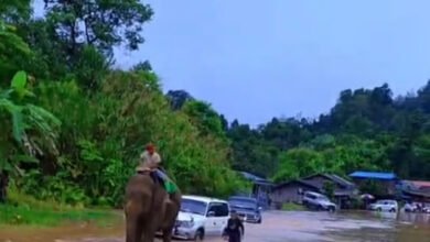 Namtinag mare ka-ang lam kaw Magwi hte Mawdaw dun nga yang