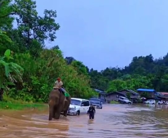 Namtinag mare ka-ang lam kaw Magwi hte Mawdaw dun nga yang