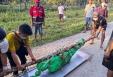 Manam Sin Rawng a Moimang
