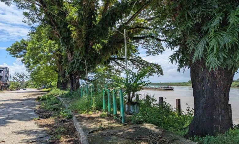 Manmaw Hka Kau lam